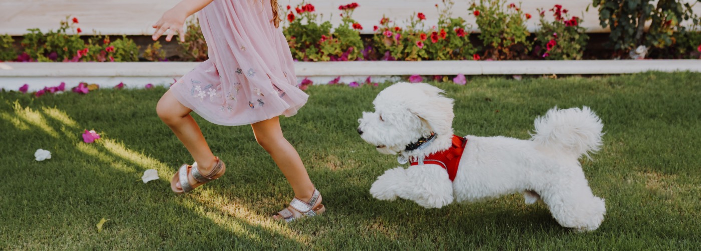 DogWatch of Middle Tennessee, Murfreesboro, TN | Outdoor Hidden Dog Fences Slider Image